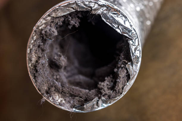 Best HVAC Air Duct Cleaning  in North Port, FL